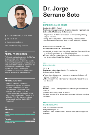 Modelo hoja de vida moderna