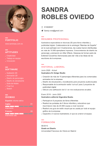 Modelo hoja de vida original