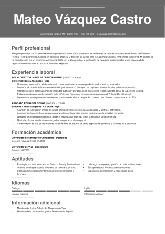 Modelo hoja de vida profesional