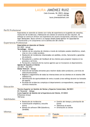 Plantilla de currículum profesional 1