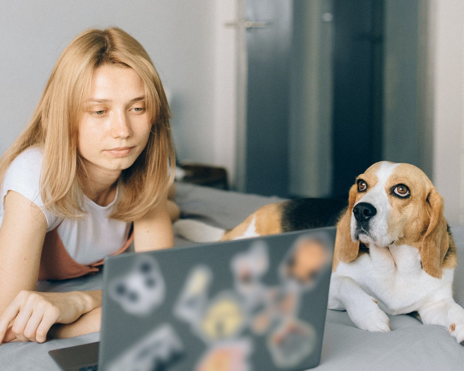 Enviar tu Currículum a Stradivarius: Pasos para 2025